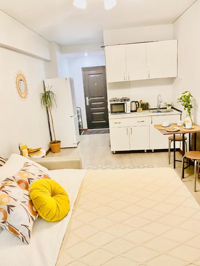 Like Home Apartments Timiryazev Street アルマトイ エクステリア 写真